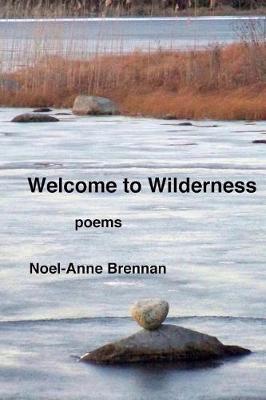 Book cover for Welcome to Wilderness