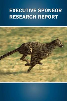 Book cover for Executive Sponsor Research Report