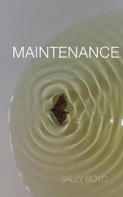 Book cover for Maintenance