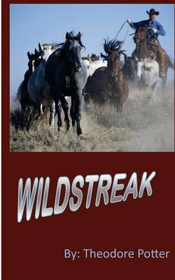 Book cover for WildStreak