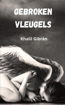 Book cover for Gebroken vleugels