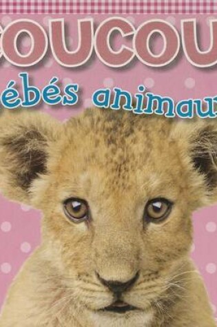 Cover of Coucou! B�b�s Animaux