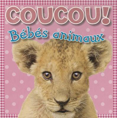 Book cover for Coucou! B�b�s Animaux