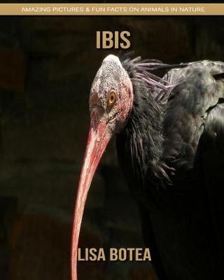 Book cover for Ibis