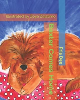 Book cover for Baxter Comes Home