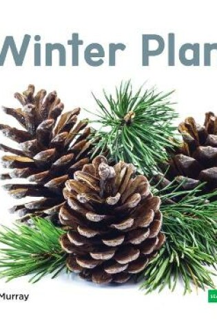 Cover of Winter Plants