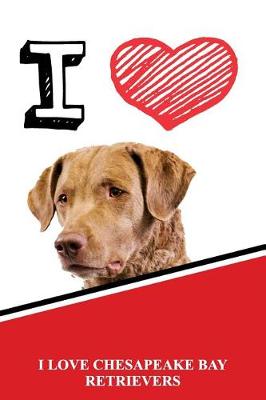 Book cover for I Love Chesapeake Bay Retrievers