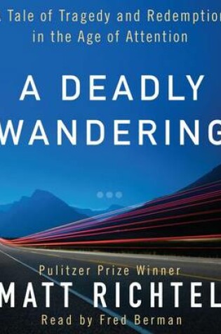 Cover of A Deadly Wandering