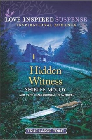 Cover of Hidden Witness