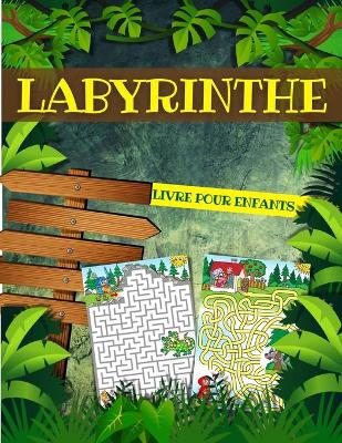 Book cover for Livre De Labyrinthe Pour Enfants