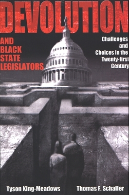 Cover of Devolution and Black State Legislators