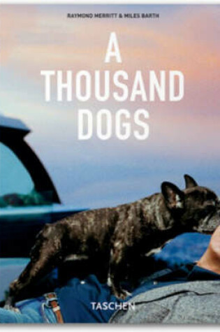 Cover of A Thousand Dogs