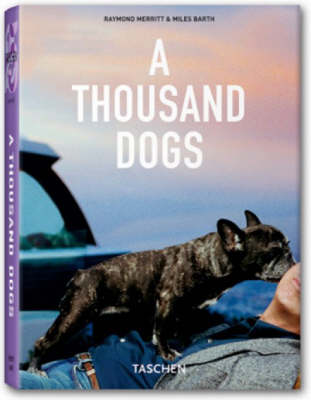 Book cover for A Thousand Dogs