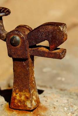 Book cover for A Rusted Old Doorstop