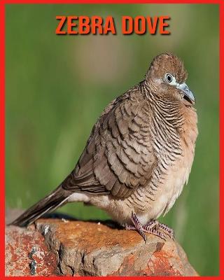 Book cover for Zebra Dove