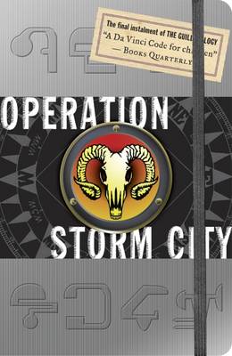 Book cover for Operation Storm City
