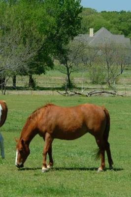 Book cover for Journal Grazing Horses Scene Equine