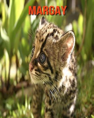 Book cover for Margay