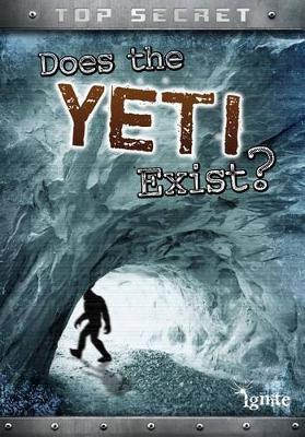 Book cover for Does the Yeti Exist?