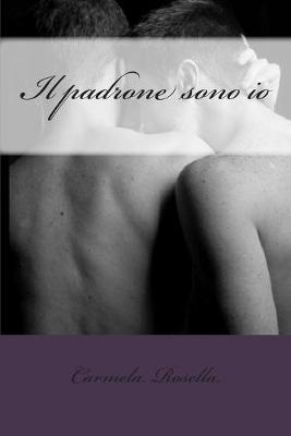 Book cover for Il padrone sono io