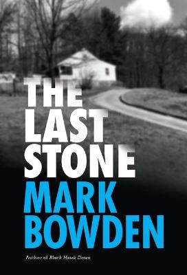 Book cover for The Last Stone