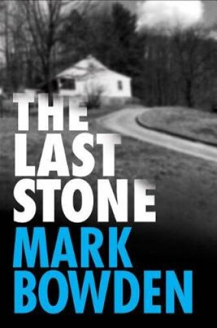 Cover of The Last Stone