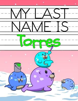 Book cover for My Last Name is Torres