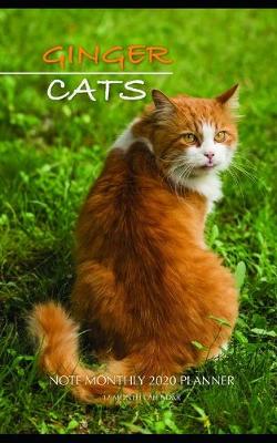 Book cover for Ginger Cats Note Monthly 2020 Planner 12 Month Calendar