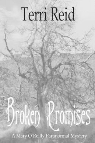 Cover of Broken Promises