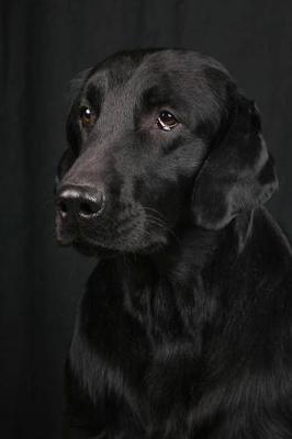Book cover for The Flat-Coated Retriever Dog Journal