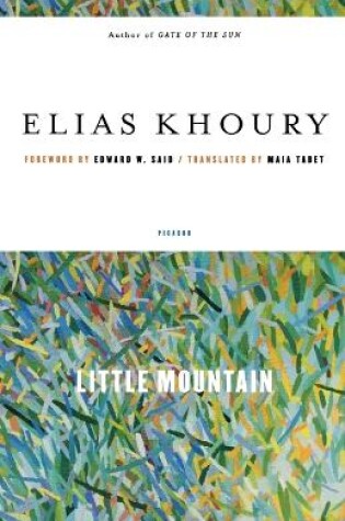 Cover of Little Mountain