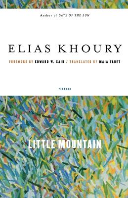 Book cover for Little Mountain