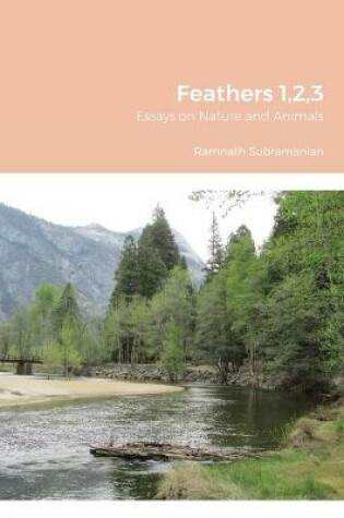Cover of Feathers 1,2,3
