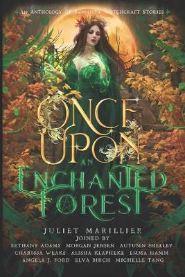 Book cover for Once Upon an Enchanted Forest