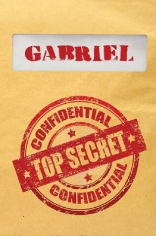 Cover of Gabriel Top Secret Confidential