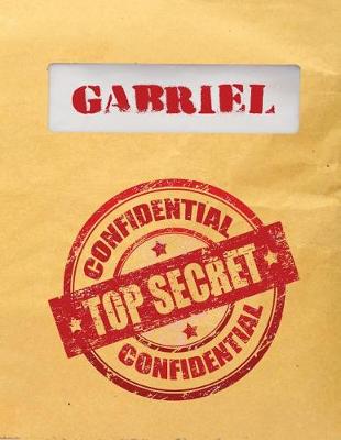 Book cover for Gabriel Top Secret Confidential