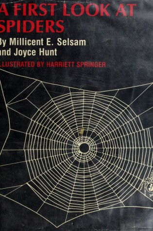 Cover of A First Look at Spiders