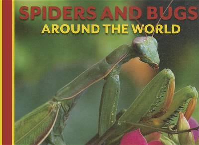 Cover of Spiders and Bugs Around the World