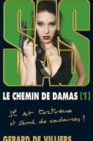 Cover of SAS 193 Le Chemin de Damas T1