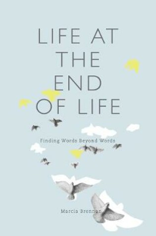 Cover of Life at the End of Life