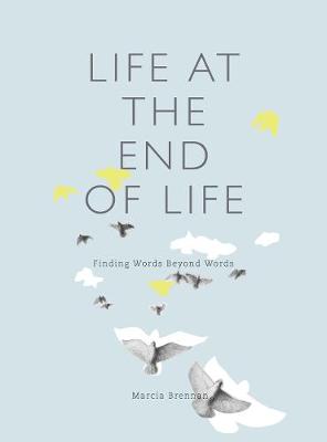 Book cover for Life at the End of Life