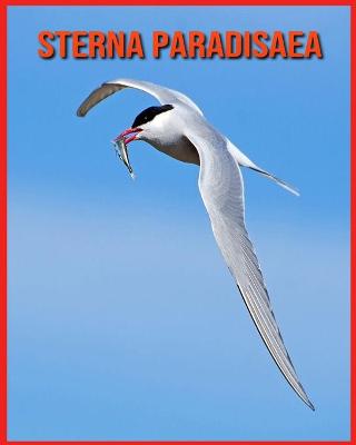 Book cover for Sterna Paradisaea