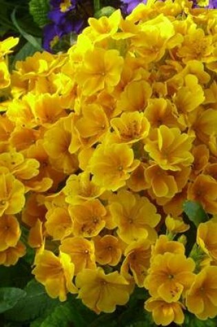 Cover of Golden Primula Flowers (for the Love of Gardening)