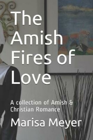 Cover of The Amish Fires of Love