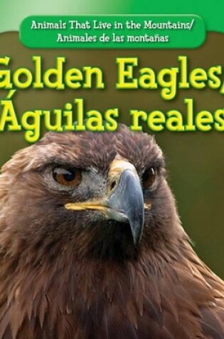 Cover of Golden Eagles / �guila Real