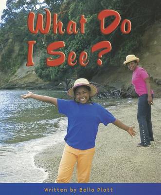 Book cover for What Do I See/Gear/SC