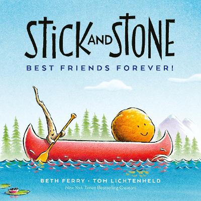 Book cover for Stick and Stone Intl/E