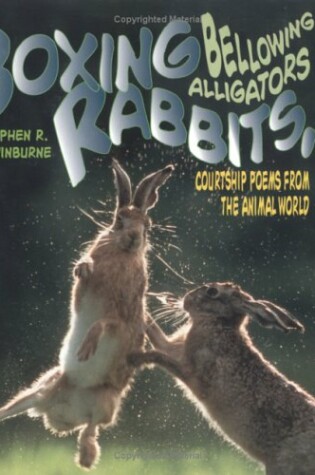 Cover of Boxing Rabbits, Bellowing Alligators