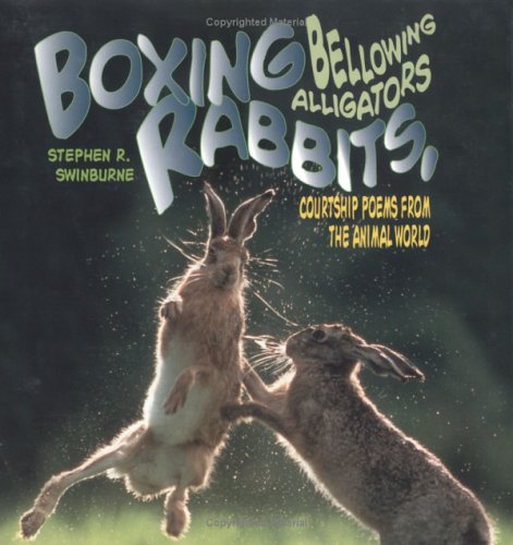 Book cover for Boxing Rabbits, Bellowing Alligators