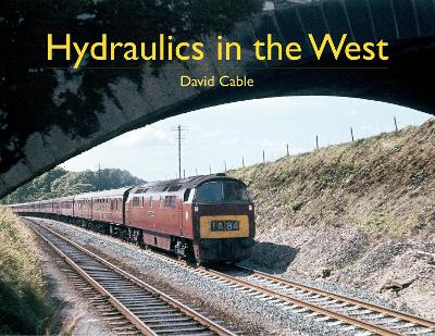 Cover of Hydraulics in the West